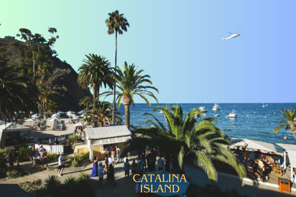Catalina Wine Mixer